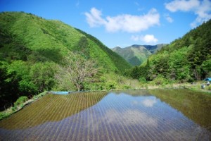 ふるさと納税の御礼品の注意点